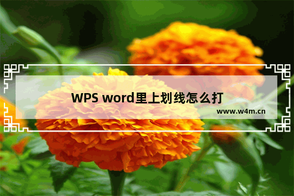 WPS word里上划线怎么打