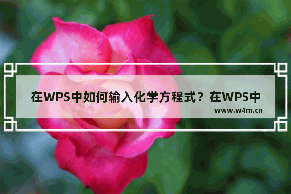 在WPS中如何输入化学方程式？在WPS中输入化学方程式的方法教程