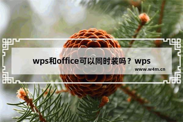 wps和office可以同时装吗？wps和office区别介绍