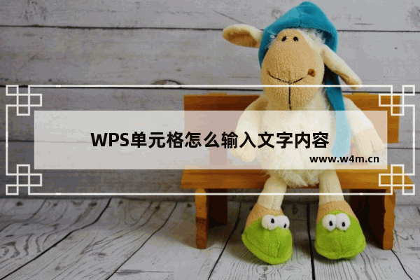 WPS单元格怎么输入文字内容