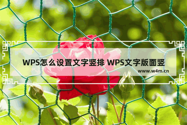 WPS怎么设置文字竖排 WPS文字版面竖排教程