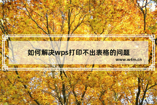 如何解决wps打印不出表格的问题