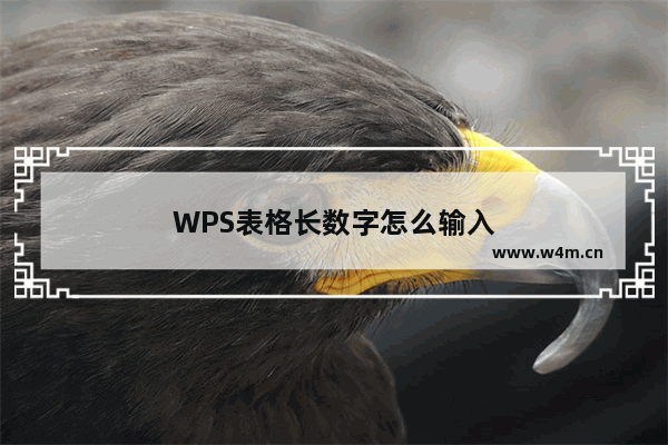 WPS表格长数字怎么输入