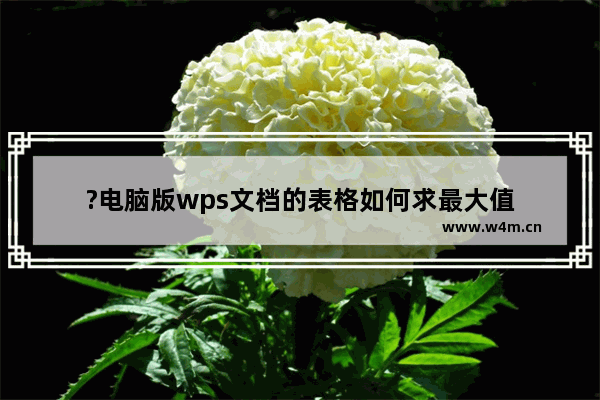 ?电脑版wps文档的表格如何求最大值