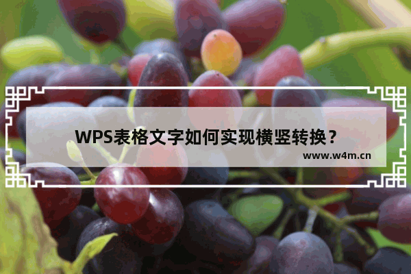 WPS表格文字如何实现横竖转换？