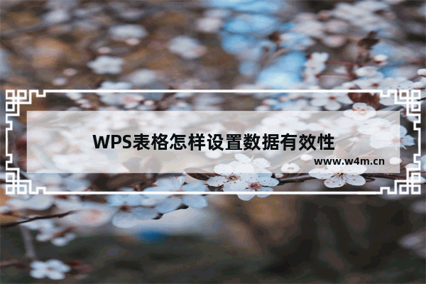 WPS表格怎样设置数据有效性