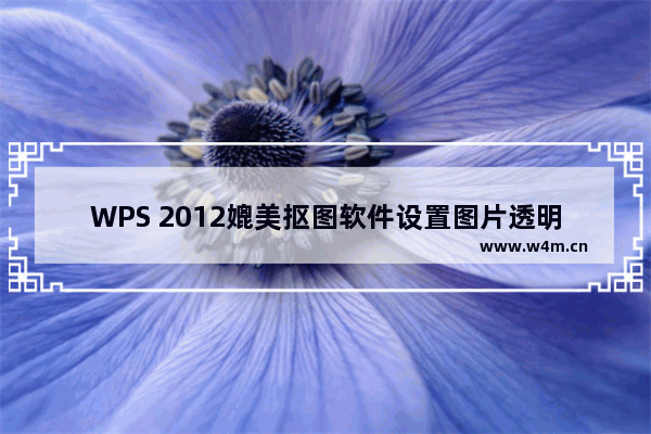 WPS 2012媲美抠图软件设置图片透明色