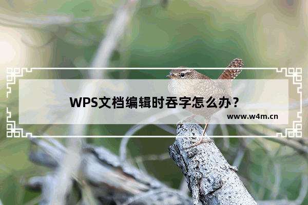 WPS文档编辑时吞字怎么办？