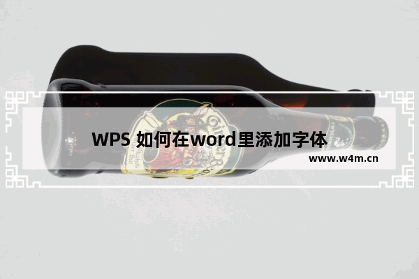 WPS 如何在word里添加字体