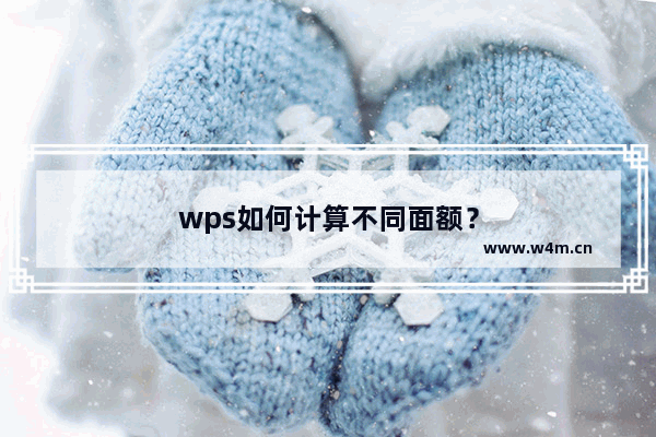 wps如何计算不同面额？