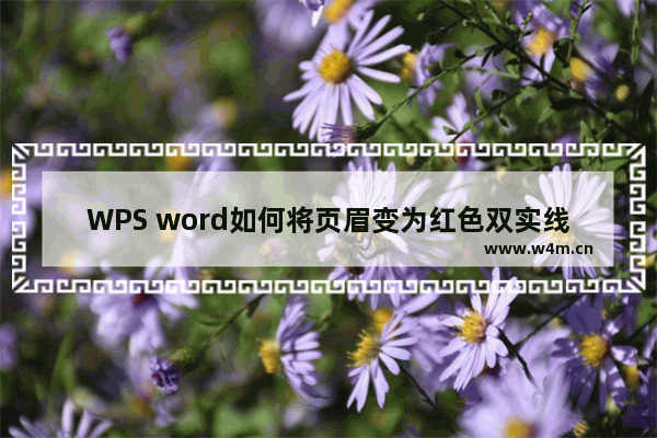 WPS word如何将页眉变为红色双实线的方法