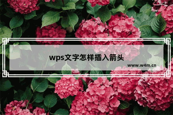 wps文字怎样插入箭头