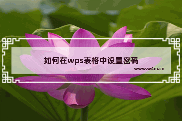 如何在wps表格中设置密码