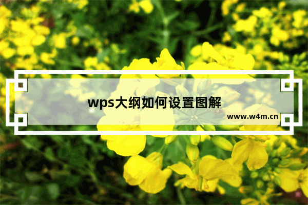 wps大纲如何设置图解