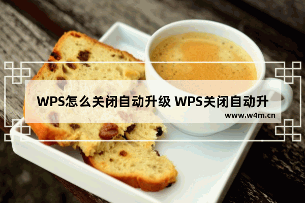 WPS怎么关闭自动升级 WPS关闭自动升级方法