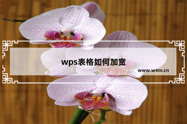 wps表格如何加宽