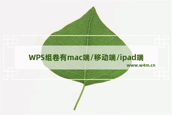 WPS组卷有mac端/移动端/ipad端吗？