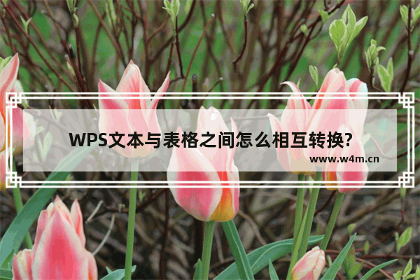 WPS文本与表格之间怎么相互转换?