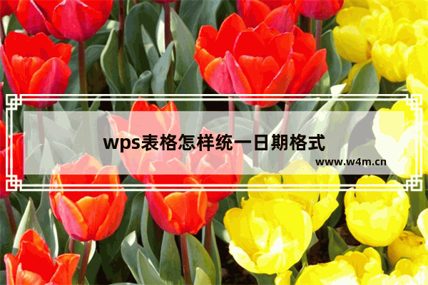 wps表格怎样统一日期格式