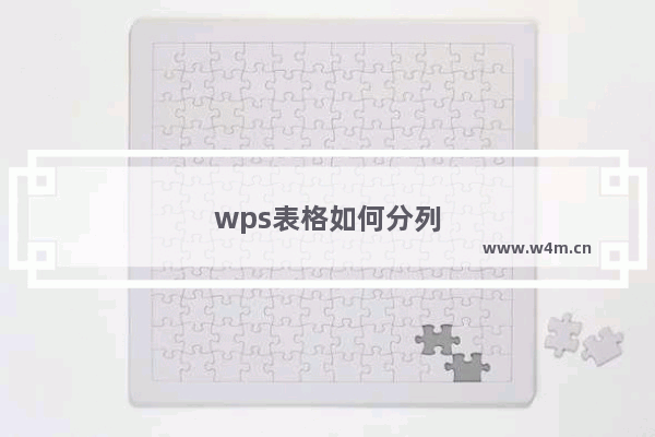 wps表格如何分列