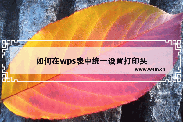 如何在wps表中统一设置打印头