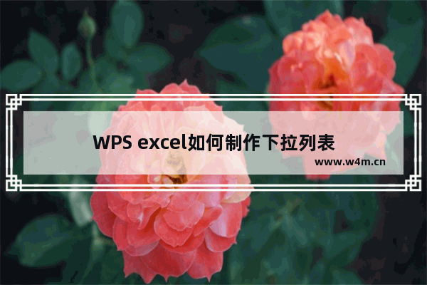 WPS excel如何制作下拉列表