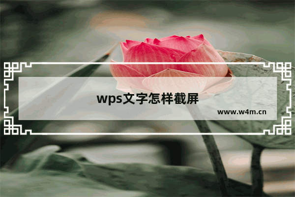 wps文字怎样截屏