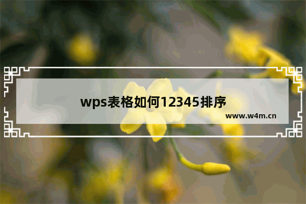 wps表格如何12345排序