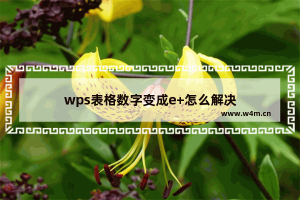 wps表格数字变成e+怎么解决