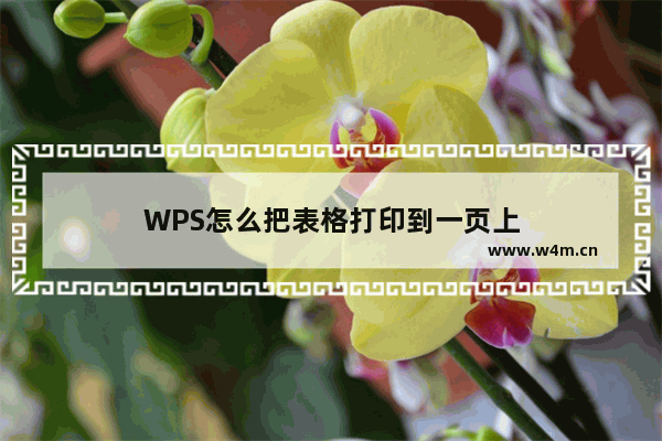 WPS怎么把表格打印到一页上