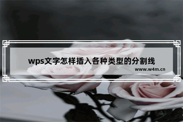 wps文字怎样插入各种类型的分割线