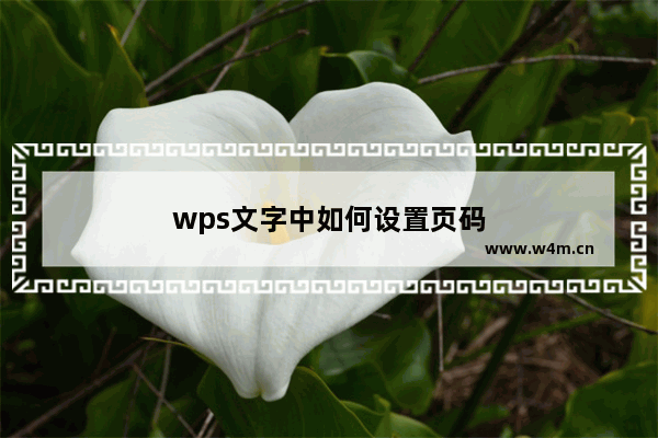 wps文字中如何设置页码