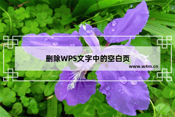 删除WPS文字中的空白页