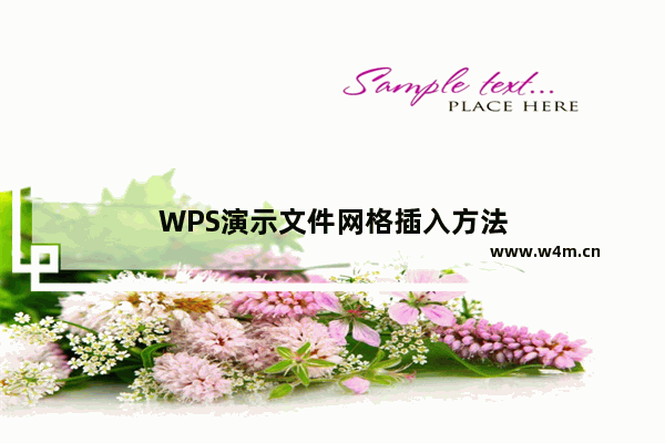 WPS演示文件网格插入方法