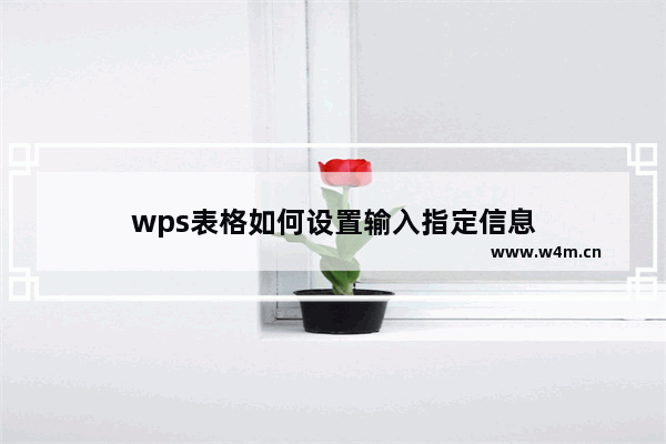 wps表格如何设置输入指定信息