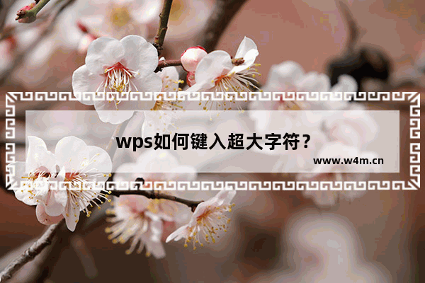 wps如何键入超大字符？