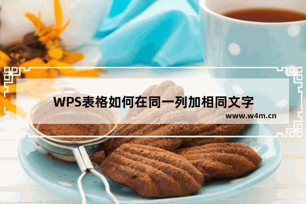 WPS表格如何在同一列加相同文字