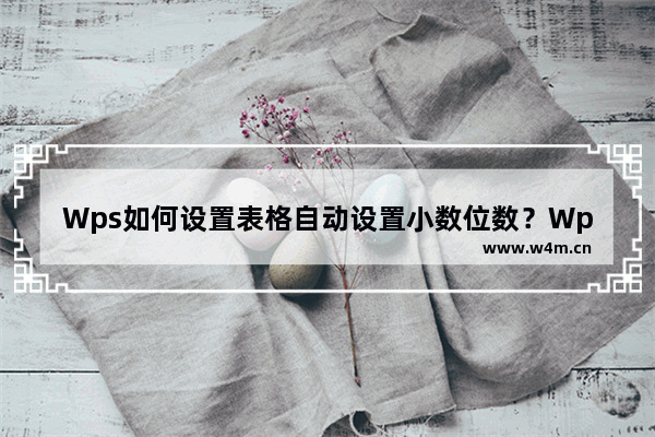 Wps如何设置表格自动设置小数位数？Wps表格自动设置小数位数的方法