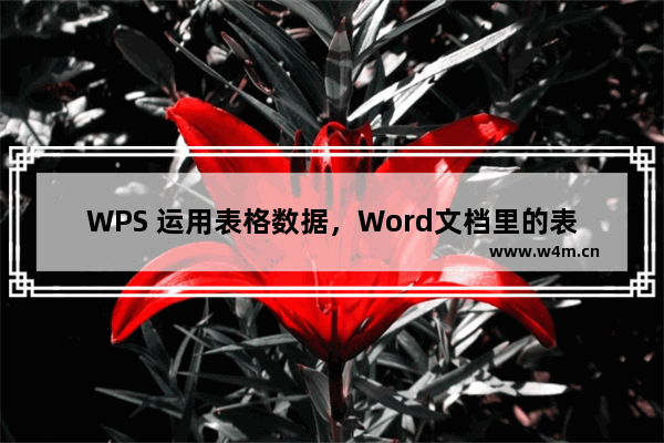 WPS 运用表格数据，Word文档里的表格数据如何合计，一起来看看吧！