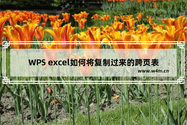 WPS excel如何将复制过来的跨页表格表现的更清楚