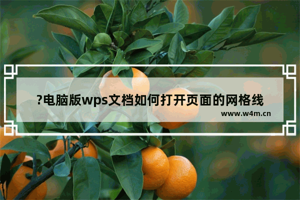 ?电脑版wps文档如何打开页面的网格线