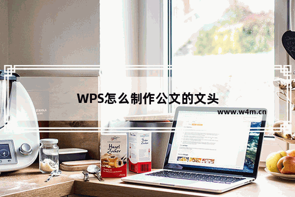 WPS怎么制作公文的文头