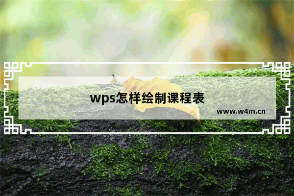 wps怎样绘制课程表