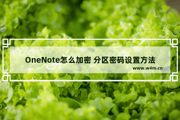 OneNote怎么加密 分区密码设置方法