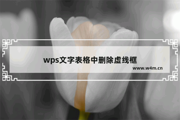 wps文字表格中删除虚线框