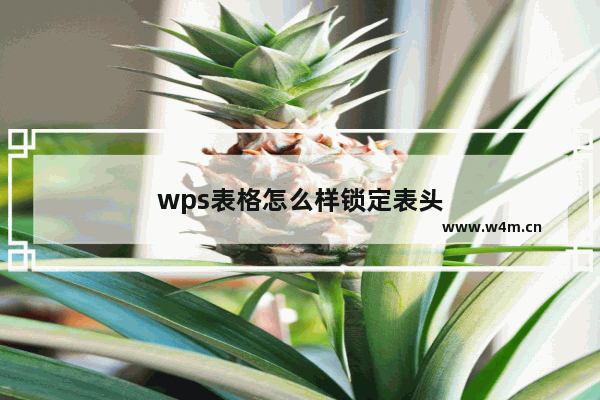 wps表格怎么样锁定表头