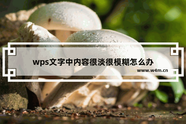 wps文字中内容很淡很模糊怎么办