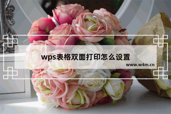 wps表格双面打印怎么设置