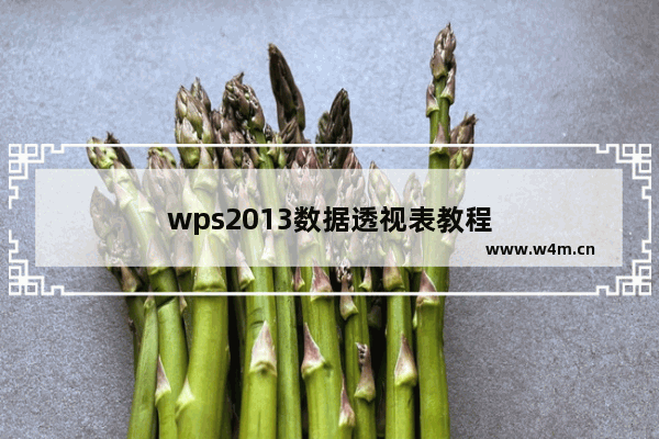 wps2013数据透视表教程