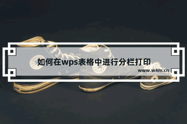 如何在wps表格中进行分栏打印